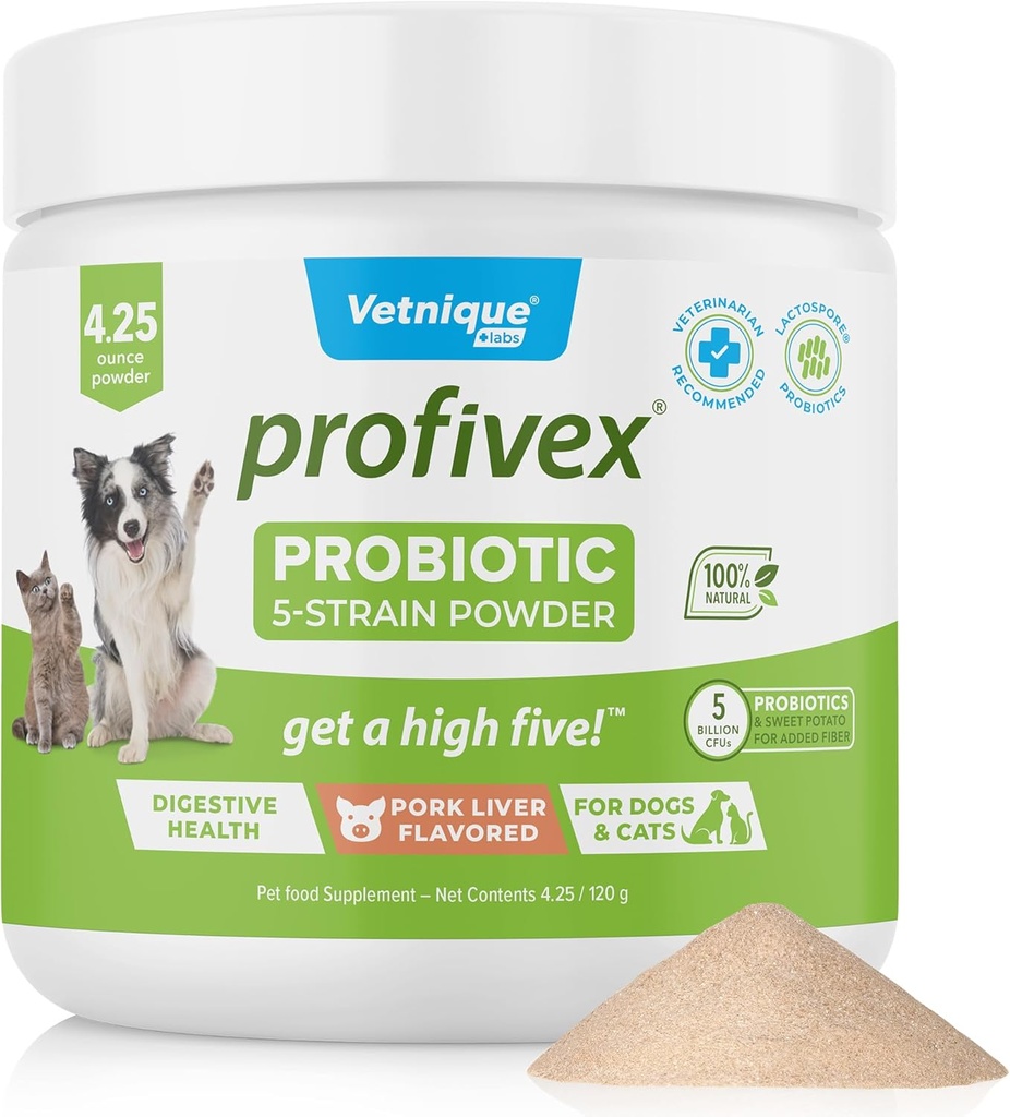 개를위한 Vetnique Labs Profivex Probiotics All Natural Dog Chews & Powder for Digestive Health Probiotics for Dogs 5 Strains of Probiotics & Prebiotics (Powder, 4.25oz)