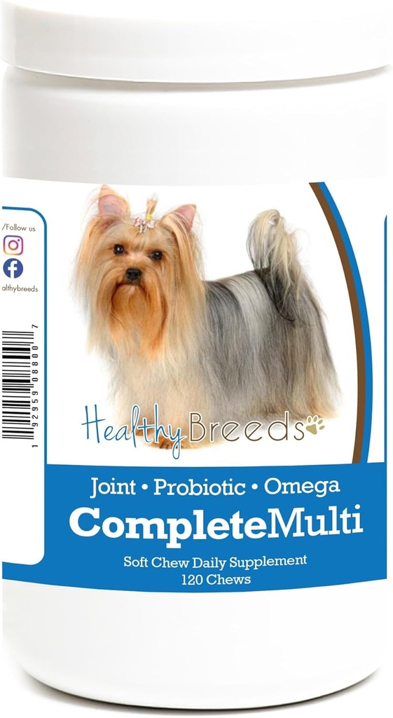 건강한 Breeds Yorkshire Terrier 하나 Multivitamin 연약한 Chew 120 조사에서 모두