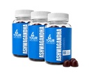 Ashwagandha Gummies 혼합 Berry KSM-66, 라이온의 Mane, 비타민 D, 비 GMO, 글루텐 무료, 젤라틴 무료 & 고셔 (180 개)