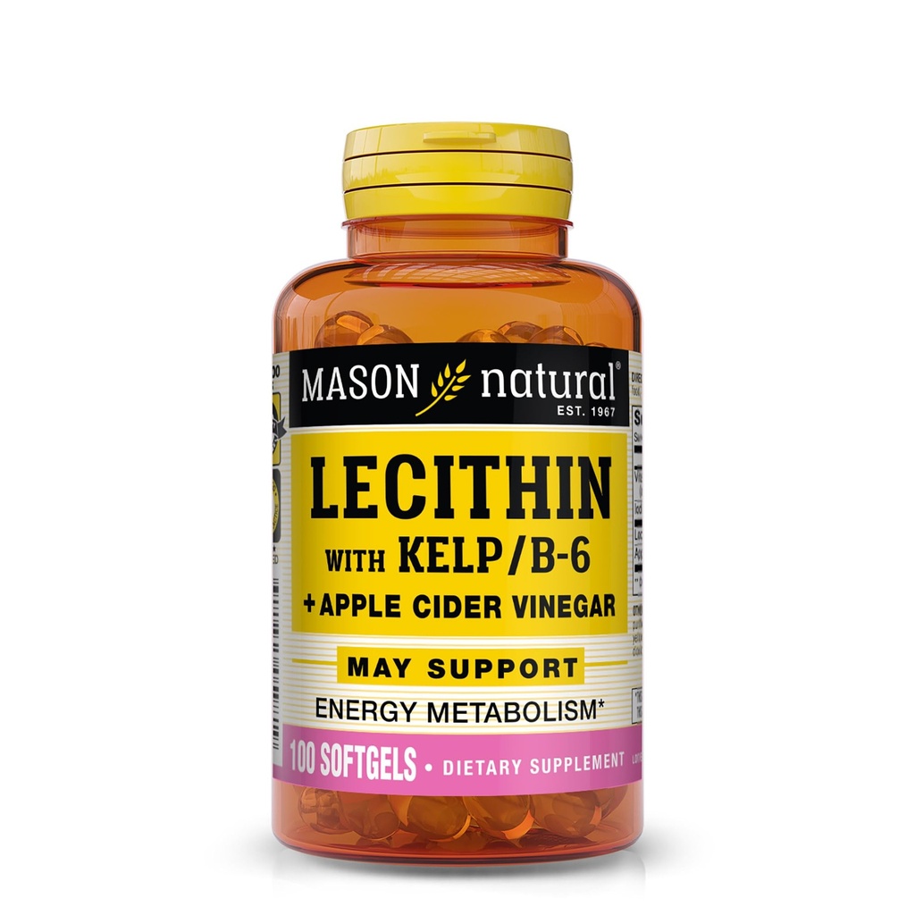 Kelp, 비타민 B6 & Apple Cider Vinegar, 듀얼 액션 포뮬러, 100 Softgels를 가진 MASON NATURAL Lecithin