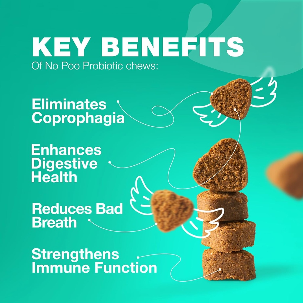 개를위한 Poo Chewables 없음 - 효소, 소화 건강을위한 개 Probiotics - Canine Digestive, Gut & Immune 건강 보충