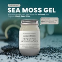 Ashwagandha Mango Sea Moss Gel Organic Fresh Fruit Infusion Wild Harvested Irish Sea Mos Gel | 면역 및 소화 지원 | 비타민 미네랄 산화 방지제 | (16 oz. Ashwagandha Mango)
