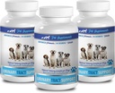 신장 방광 기복 개 - DOG URINARY TRACT SUPPORT - NATURAL CRANBERRY SOLUTION - BLADDER HEALTH - VET RECOMMENDED - 개 크랜베리 보충 분말 - 3 병 (270 치료)