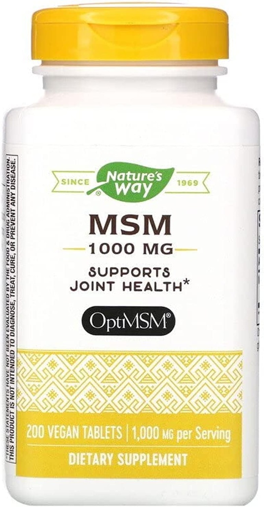Msm 1000년 Mg