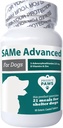 Project Paws Same for Dogs - 비타민 B가있는 개를위한 간병 지원 - Cognitive Dog Supplement - 개를위한 Adenosyl Methionine - 60 ct.