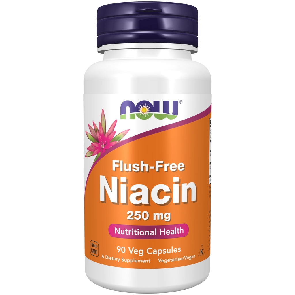 지금 음식 보충교재, Niacin (비타민 B-3) 250 mg, Flush 자유로운, 영양 건강, 90의 Veg 캡슐