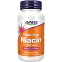 지금 음식 보충교재, Niacin (비타민 B-3) 250 mg, Flush 자유로운, 영양 건강, 90의 Veg 캡슐
