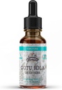 Gotu Kola Tincture, 유기 Gotu Kola 추출, Gotu Kola 드롭 (Centella Asiatica) 건조 허브