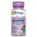 SOLARAY Bilberry Berry 추출물 캡슐 당 60 mg, 강력한 산화 방지제, 건강한 시각 & 순환 지원을 위한 보장된 효능 120 VegCaps