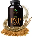알파 PXP Forte 150 grm 30 서빙 병 접지