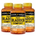 Mason 자연적인 매일 Bladder 안락, 칼슘과 더불어 30의 일 공급, 호박씨 및 Soy Germ는 정상 방광 기능, 60의 캡슐 (포장 3)를 지원하기 위하여 작용합니다