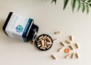 Ashwagaandha 보충교재 유기 KSM-66 Ashwagaandha 채식주의자 보충교재 180 캡슐, 매일 봉사 당 1000mg, 도움 지원 건강한 긴장 관리 응답, 명확한