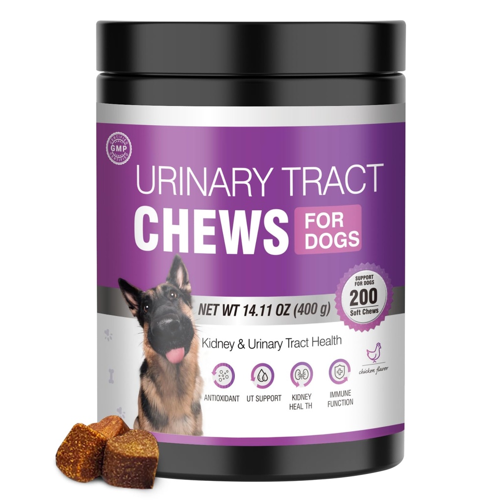 개를위한 개 UTI 치료 크랜베리 보충 200 Chews Urinary Tract Medicine Bladder Control Pills Kidney Support Cranberrys Extract Bites Puppy UTI Infection 치료 Incontinence Remedy for Dogs