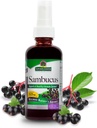 자연의 답변 Sambucus 스프레이 | 건강한 면역 체계 지원 | Slippery Elm, Sage & Echinaea와 주입 | 알코올 무료, 글루텐 프리, 고저 인증 및 보존제 2oz