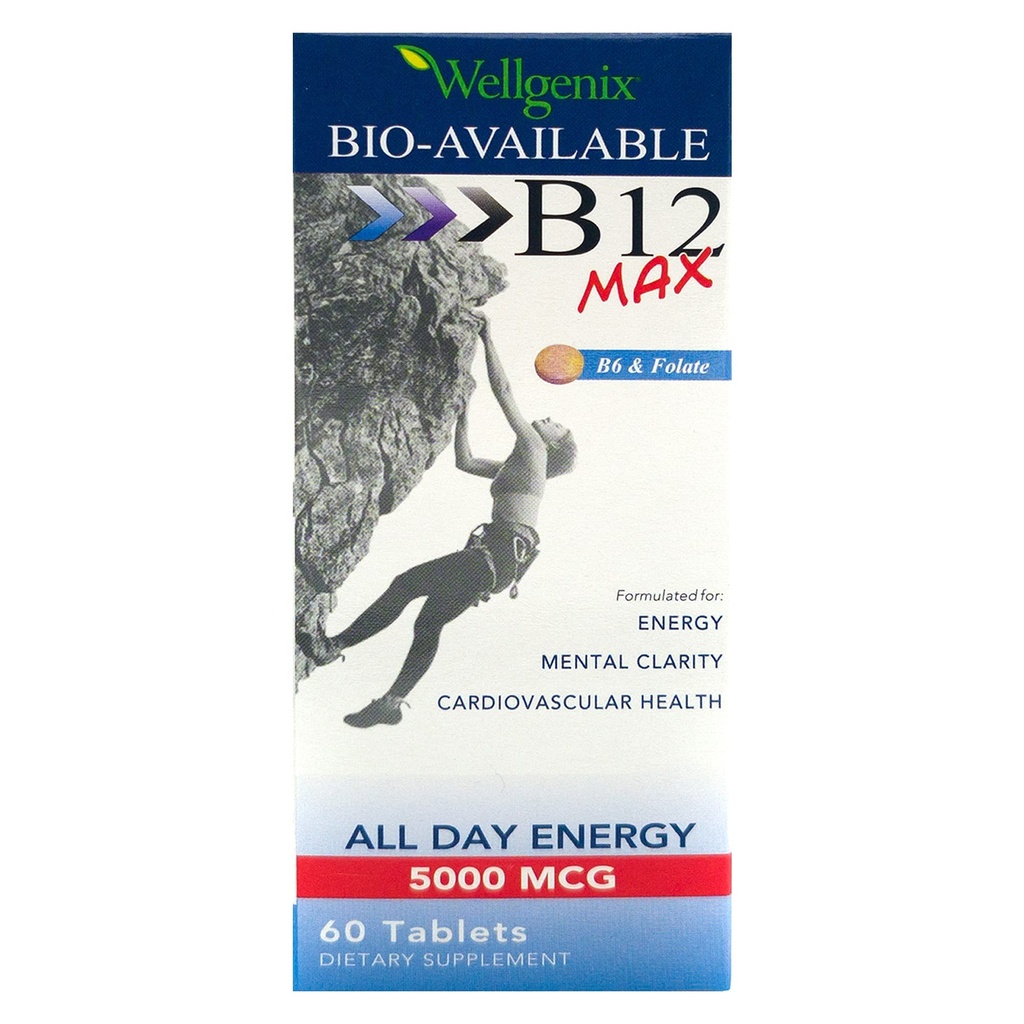 Wellgenix Bio-Available Sublingual B12 B6 Folate 비타민은 높은 흡수를 위해 공식화했습니다 - 영양 Multivitamin 보충교재 (60 ct) 1 팩