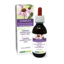 Naturalma Echinacea (Echinacea angustifolia 및 purpurea) 뿌리 및 허브 알코올 - 무료 Tincture - 드롭 4 fl oz 액체 추출물 - 초본 보충 - Vegan