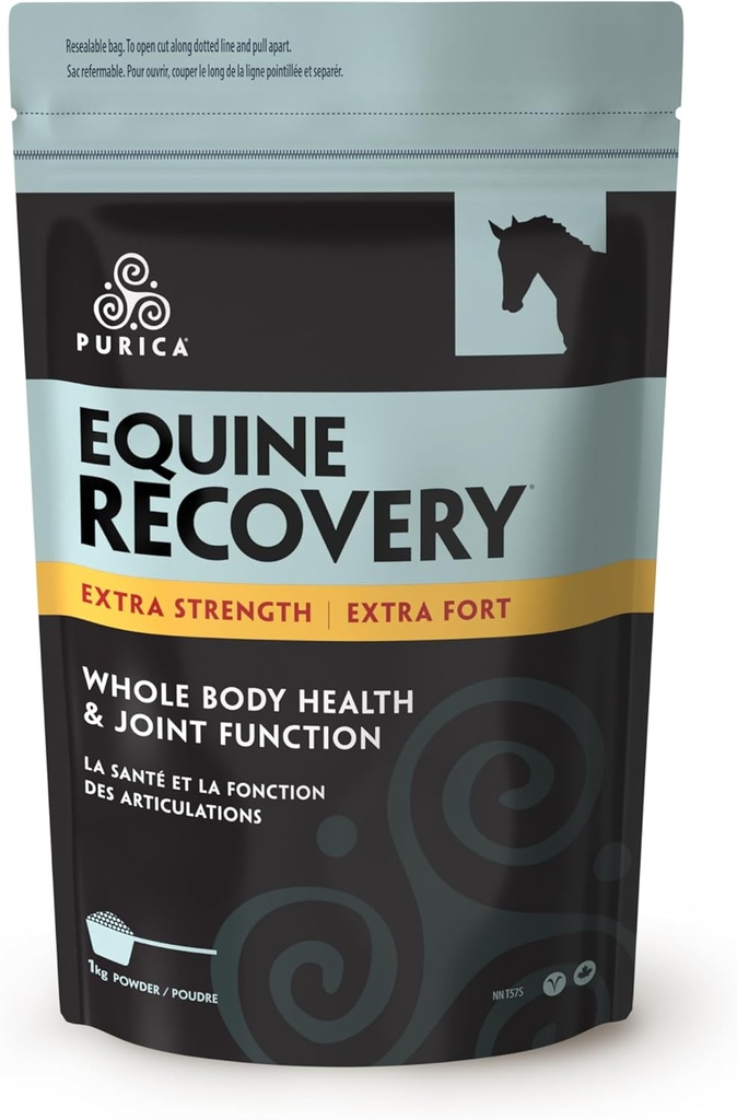 PURICA Equine Hyaluronic 산 - Glucosamine, MSM 분말, Betaine, 마그네슘, 비타민 C 및 E - 녹차와 포도씨 추출물 - 말 공급 및 대우를 가진 말 합동 지원 보충교재