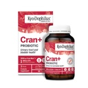 Kyolic Kyo-Dophilus Cran+ Probiotic, Urinary Tract 및 Bladder Health*, 60 캡슐