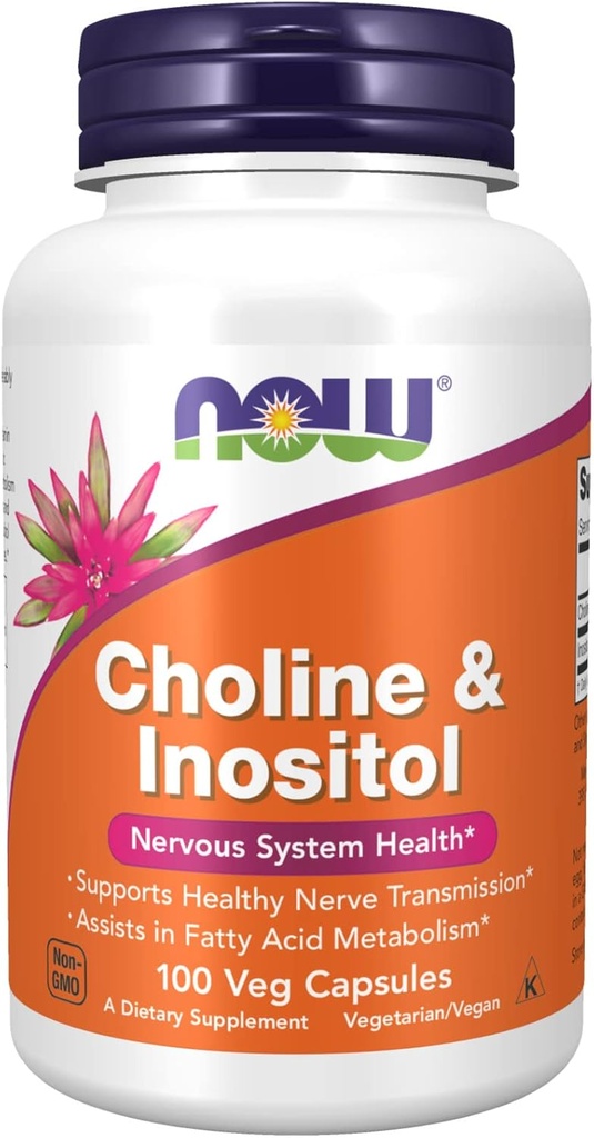 Choline & Inositol, 500 mg의 지금 음식에 의하여 100 모자 (6의 포장)