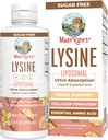 Vegan Lysine Supplement by MaryRuth's | 울트라 흡수 | Lysine 500mg | Collagen Formation Support | Immune Support Supplement | 건강 및 웰빙 | 비 GMO | 글루텐 프리 | 30 인