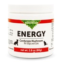 동물성 필수 에너지 Cordyceps 버섯 보충교재 개 & 고양이를 위한 - 지원 Stamina & 내구시간, 건강한 호흡 & Kidney 기능, 산화 방지제, 버섯 분말 추출물 - 2.8 Oz (팩 1)