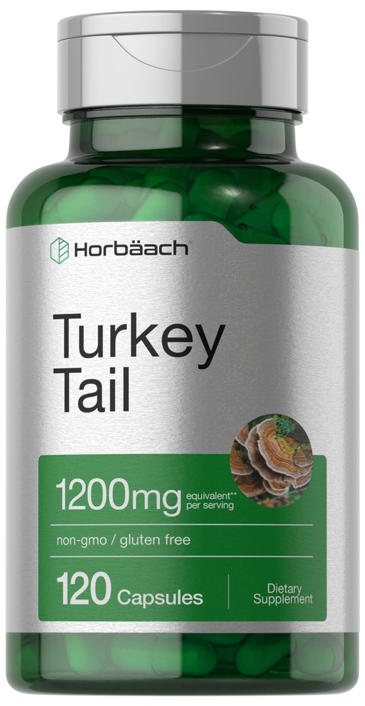 Horbäach 터키 꼬리 버섯 캡슐 | 1200mg | 120 개 | 비 GMO 및 글루텐 무료 추출물