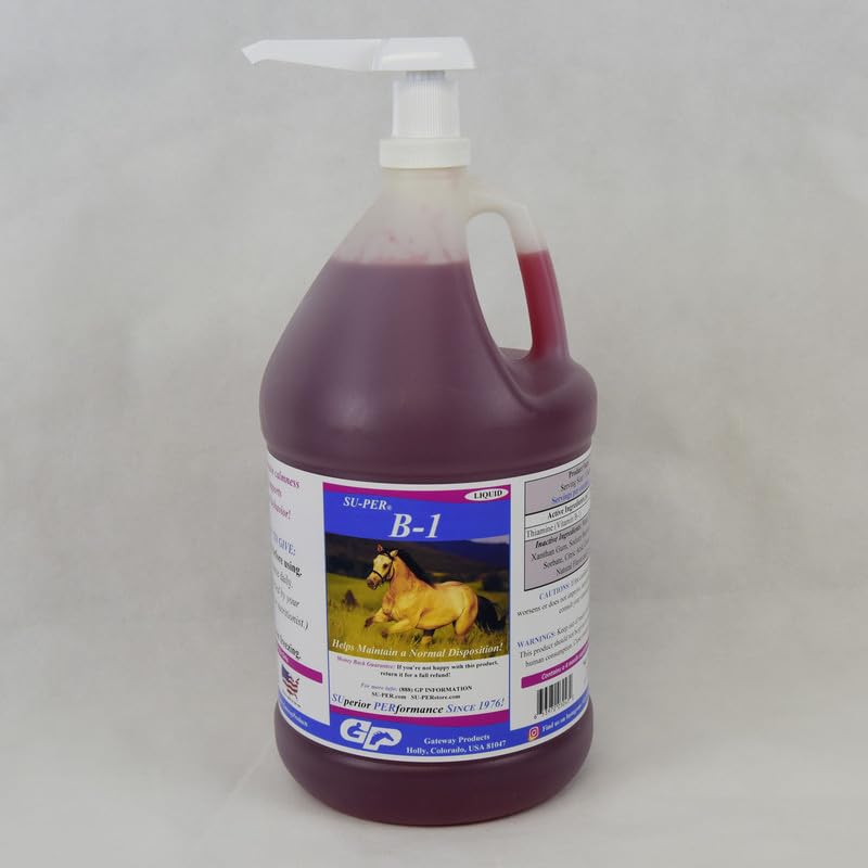 SU-PER B-1 말 Calming 보충교재 - Equine 비타민 B-1 지원 말 Calmer 액체 - 말 - 1개 갤런 + 펌프, 4 달 공급을 위한 식욕 승압기 보충교재