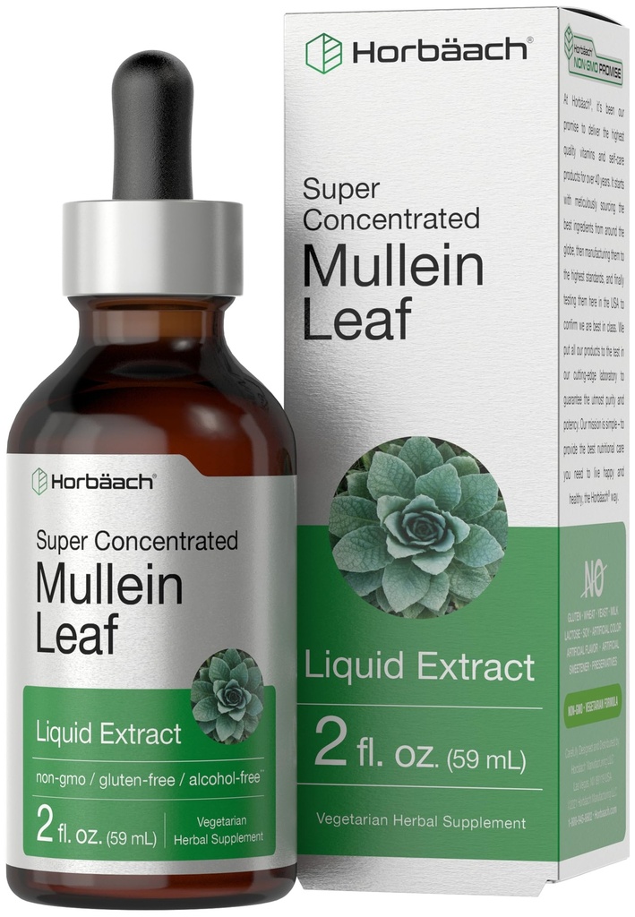Horbäach Mullein Leaf Extract Drops | 2 fl oz | 알코올 무료 액체 Tincture | 채식주의, 비 GMO 및 글루텐 무료 초본 보충