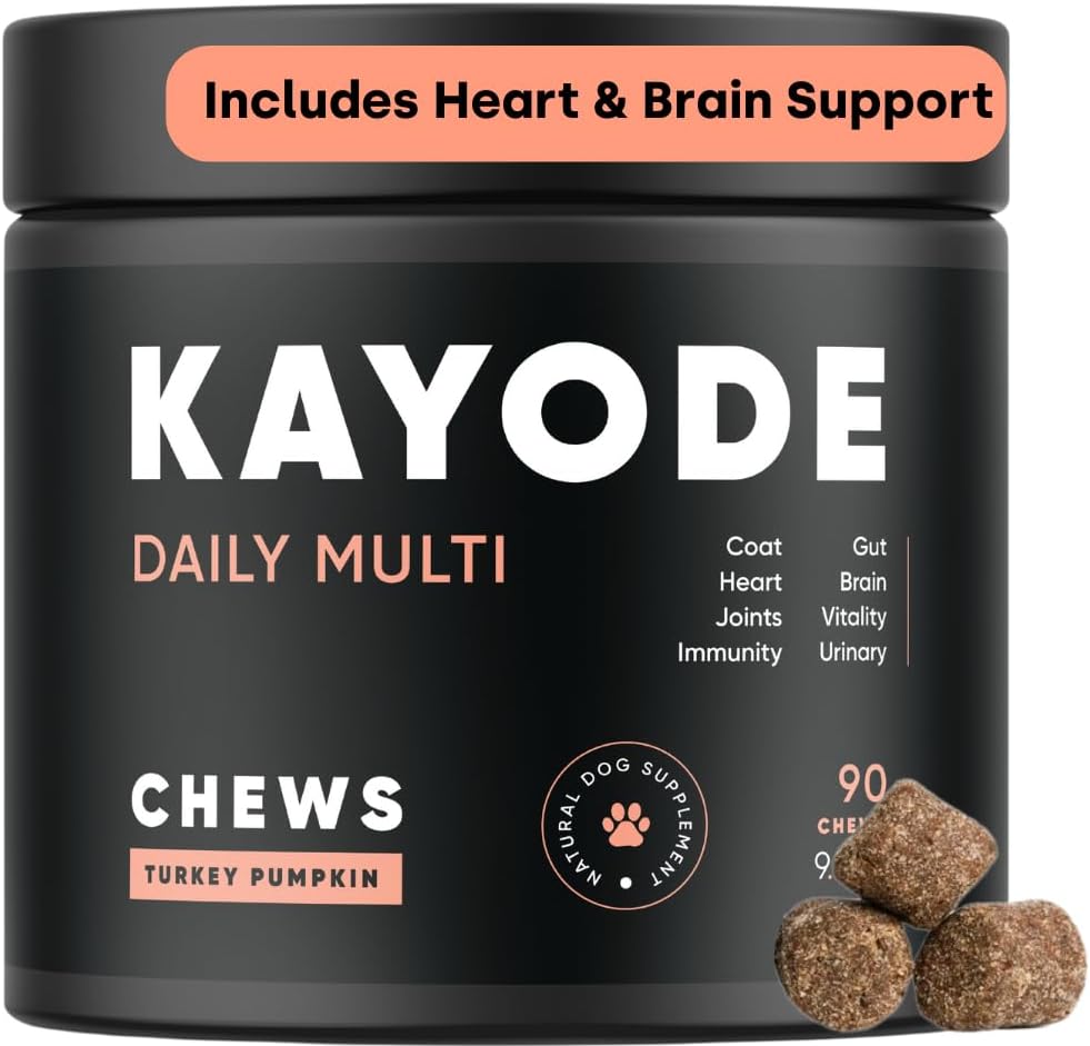 Kayode Daily Multi - Dog Multivitamin & Superfood Chew. Nutrient Gaps를 채우십시오. 합동, 소화, 심장, 뇌, 유린 및 더 많은 것을 돕습니다. Nutrients Dog Food Misses를 추가하십시오. Puppies Too를 위해 중대한.