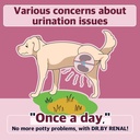 Dr.by Renal Kidney Bladder Urethra Nutritional Supplement for Dogs and Puppy - 개 UTI를위한 달콤한 감자 맛 개 보충, 30 개 개별적으로 포장 (팩 1)