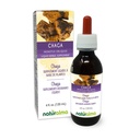 Naturalma Chaga (Inonotus obliquus) Fungus 또는 Mushroom Alcohol-Free Tincture - 드롭 4 fl oz 액체 추출물 - 초본 보충 - Vegan
