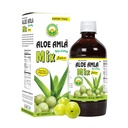 기본 Ayurveda Aloe Amla Mix Juice | 알로에 Vera & Amla Fruit 혼합 | First Press Virgin Juice | 식물 기반 일일 음료 | Vegan & Non-GMO | 32.46 Fl Oz (960ml)
