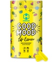 HARDLABZ Good Mood - 모든 자연 Nootropic Lion 's Mane Mushroom 및 Cognitive 및 정신 지원을위한 초본 추출물 - 스트레스 완화, 두뇌 성능, 무드 향상, 90 캡슐