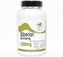 Siberian Ginseng 1000mg ~ 100 캡슐 - 첨가물 없음 ~ Naturetition 보충교재