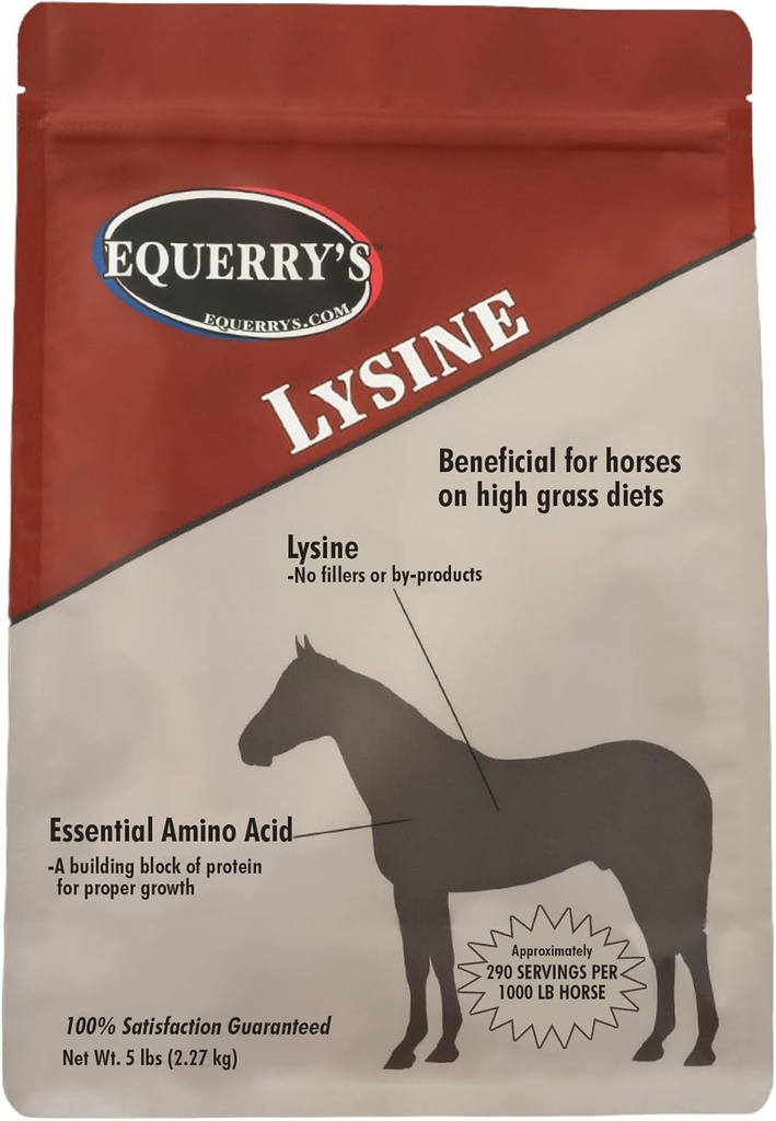 Equerry's Lysine Supplement for Horses | 근육 지원 및 면역 건강에 대한 Lysine Powder 보충 | 밸런스포지티브 다이어트 | 5Ib Bag