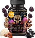 광고 호크 Shilajit 순수한 Himalayan 유기 Gummies - 면역 지원, 에너지 지원 보충교재 - Shilajit 수지 사자 Mane, Cordyceps, Reishi, 터키 꼬리, Chaga, Shiitake Mushroom Gummies (120 Ct)