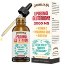 Liposomal 글루타티온 액체 2000MG – 여자 & 남자를 위한 산화 제독제 Detox 보충교재, Hyaluronic 산 + 알로에 Vera + 비타민 C, 자연적인 & Vegan, 2 FL.OZ와 더불어 시효 방어, Liver 기능 & 에너지,