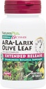 NaturesPlus 초본 활성 ARA Larix 올리브 리프 - 30 정제 - 면역 지원 보충교재, 확장 된 릴리스 식물 복합체 - 채식주의, 글루텐 무료 - 30 서빙