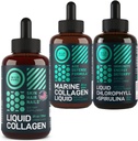 WILD FUEL 액체 교원질, 바다 교원질 및 액체 Chlorophyll 아름다움 및 웰니스 뭉치