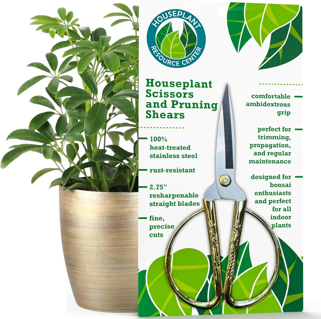 Premium Houseplant Scissors | 100 % 스테인레스 스틸, 버팀대 및 트리밍을위한 Ultra-Precise Garden Clippers | Rust-Resistant, Easy Clean Pruning Shear | 실내 및 실외 | 안락한 & Ambidextrous