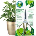 Premium Houseplant Scissors | 100 % 스테인레스 스틸, 버팀대 및 트리밍을위한 Ultra-Precise Garden Clippers | Rust-Resistant, Easy Clean Pruning Shear | 실내 및 실외 | 안락한 & Ambidextrous