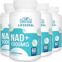 Liposomal NAD+ 보충교재 1000 mg | 가장 높은 NAD Pontecy | 최대 흡수 | 순수한 NAD 보충교재 | 에너지와 DNA 수선, 노후화, 뇌 기능 | 240 Softgels