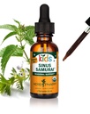 허브 Pharm Kids 공인 알코올 무료 Sinus Samurai 액체 초본 공식, 유기, 1 Fl Oz