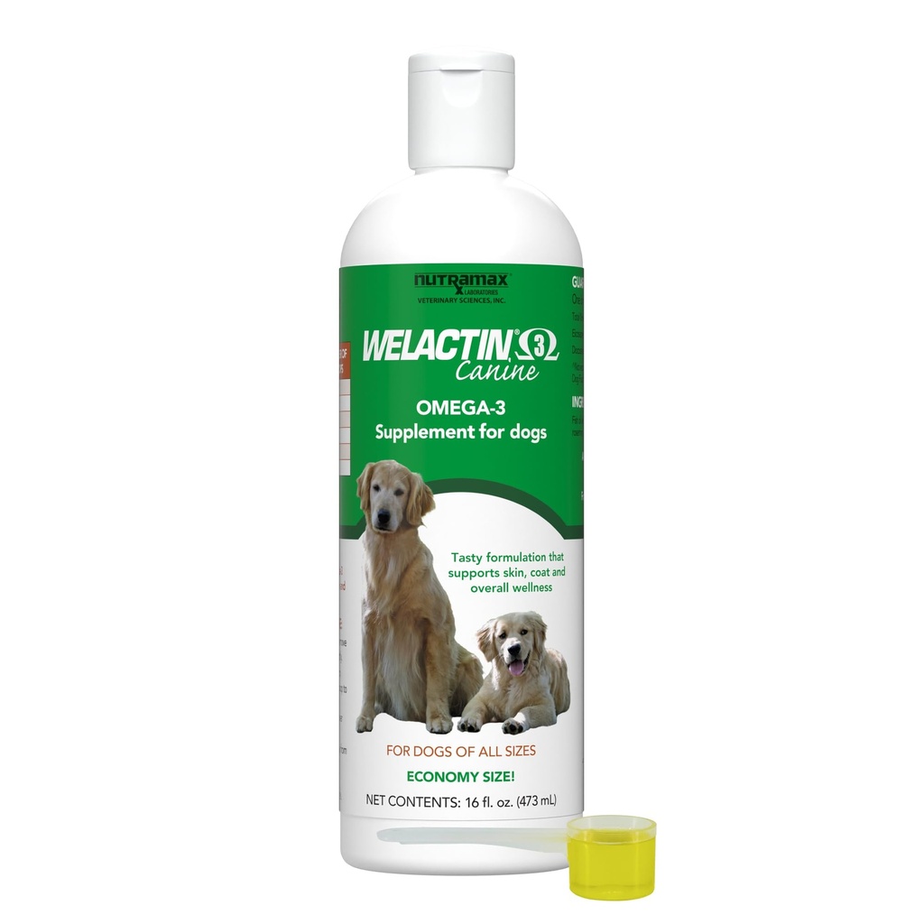 Nutramax Welactin 오메가 3 개 물고기 기름, 피부 및 외투 건강 보충교재, 플러스 합동, Immune, Kidney 및 뇌 지원, 모든 크기의 개를 위한 우수한 오메가 3 지방산, 16 Ounce 액체 (3 Pk)