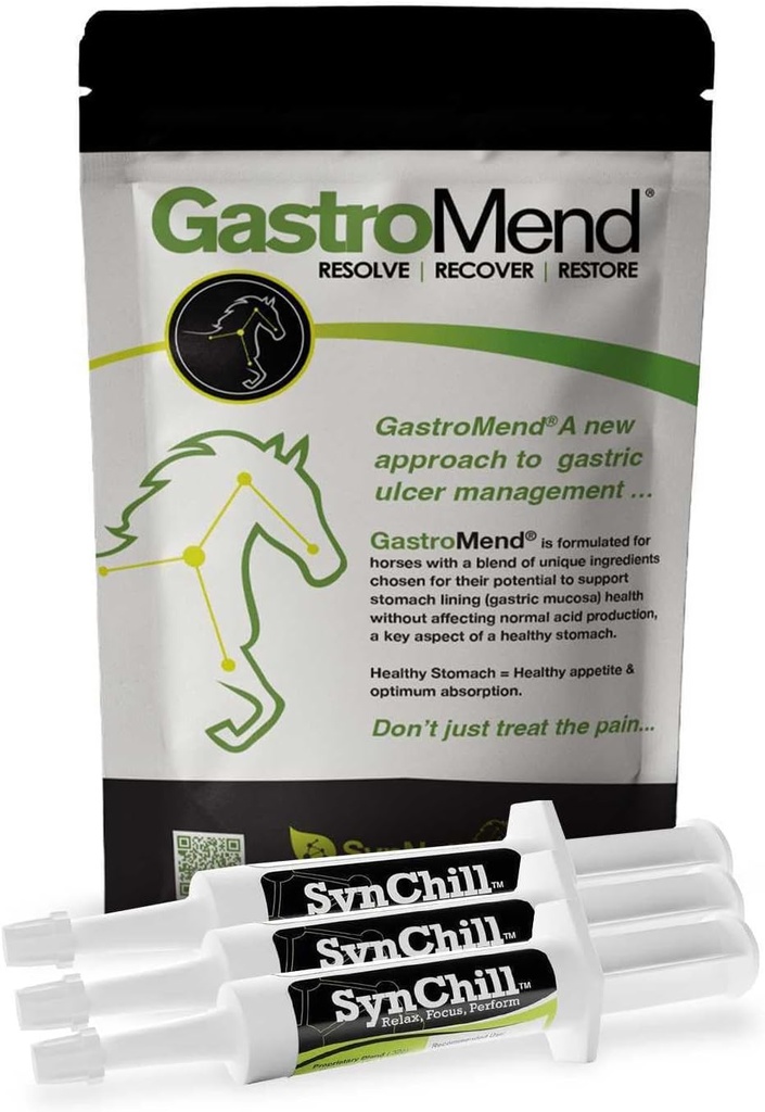 SynChill 3 팩 + GastroMend 번들 - 종합적인 Stomach 건강 & 행동 지원, Gastric Ulcer 기복에 대한 보조, Calmness & Focus를 촉진, 모든 자연, 비용 효과