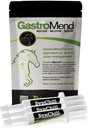 SynChill 3 팩 + GastroMend 번들 - 종합적인 Stomach 건강 & 행동 지원, Gastric Ulcer 기복에 대한 보조, Calmness & Focus를 촉진, 모든 자연, 비용 효과