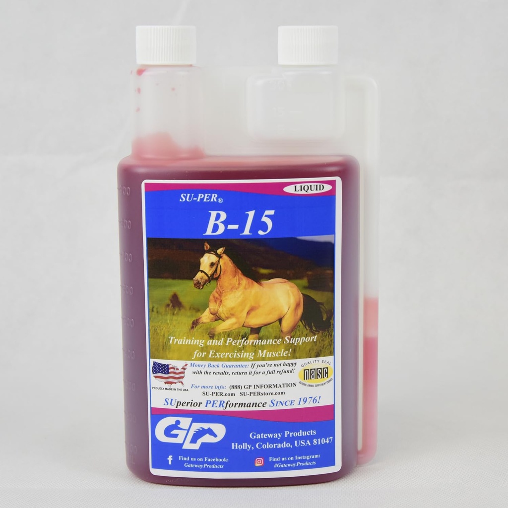 SU-PER B-15 비타민 보충제 - 성능 지원을위한 Equine 비타민 B-15 액체 - 정상 심혈관 면역 및 근육 기능 지원 - 1 Quart, (2 팩)