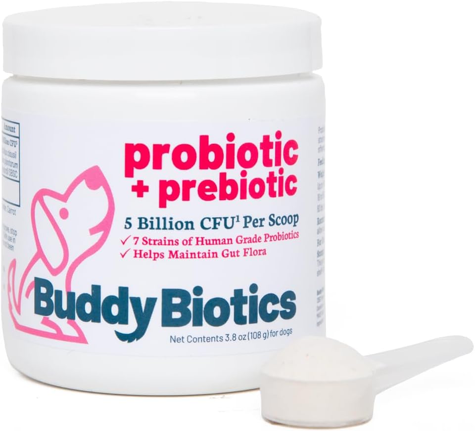 Buddy Biotics Probiotic + 개 Gut Flora 건강, 소화 및 면역 건강, Diarrhea 및 Bowel 지원을위한 Prebiotic - 5 억 CFU