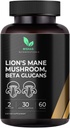Mishas Lions Mane Supplement - 유기 사자 Mane - 두뇌 건강 지원 - 초점 및 기억, 면역 및 신경 기능 시스템 여성 및 남성을위한 버섯 지원 - 60 Vegan 캡슐