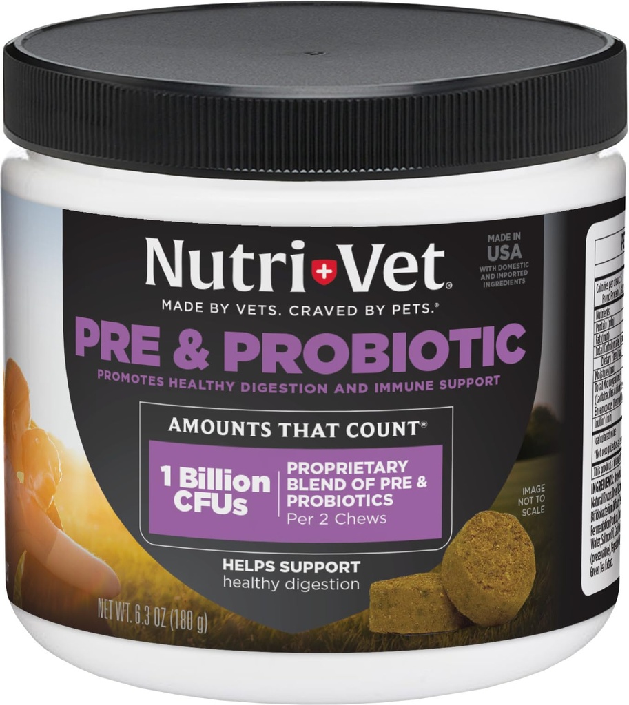 Dogs, Digestive Support, Upset Stomach, Puppy Probiotic, Pet Vitamins 및 보충제, Dog Probiotics, Liver & Cheese flavor, 120 Soft Chews에 대한 Nutri-Vet Pre & Probiotics